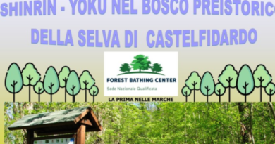 Video Immersione alla Selva di CastelFidardo