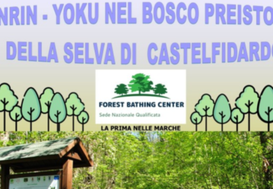Video Immersione alla Selva di CastelFidardo
